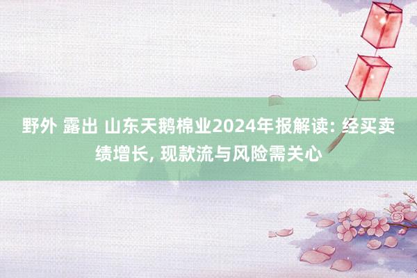 野外 露出 山东天鹅棉业2024年报解读: 经买卖绩增长， 现款流与风险需关心